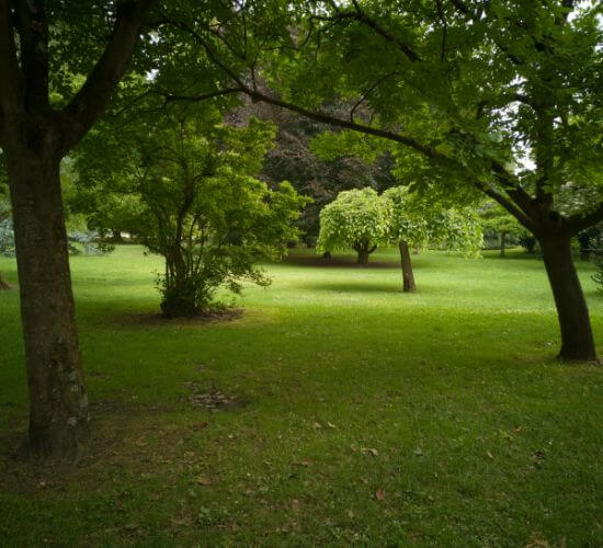 Ballade Jardin des Plantes Toulouse