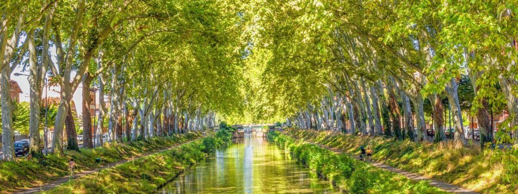 Croisière sur le Canal du Midi